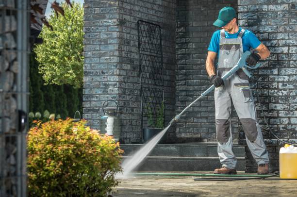Best Spring Cleaning  in Linden, MI