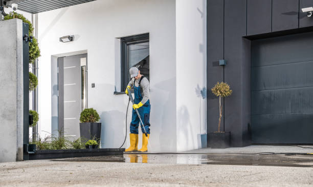 Best Post-Construction Pressure Washing  in Linden, MI